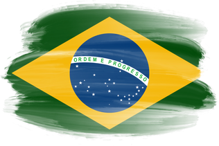 Brazilian Brush Flag